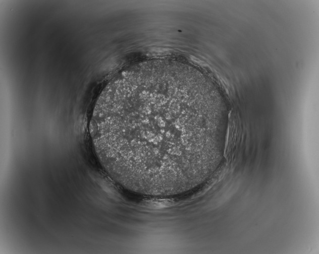 X0000086890711200705141623