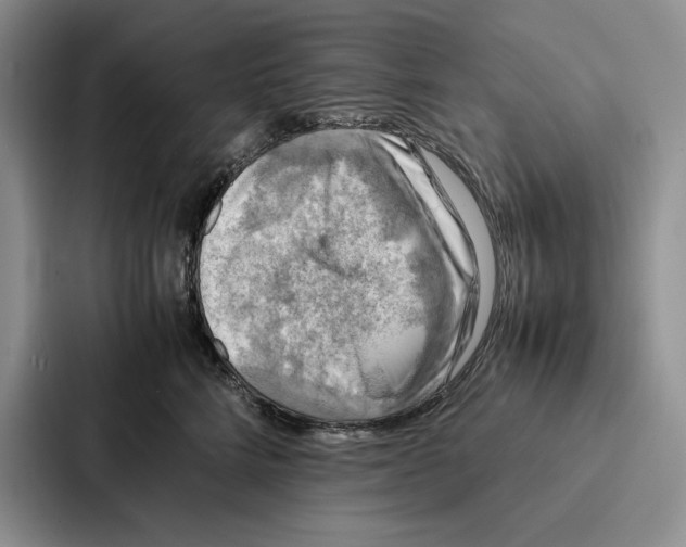 X0000086890712200705141623