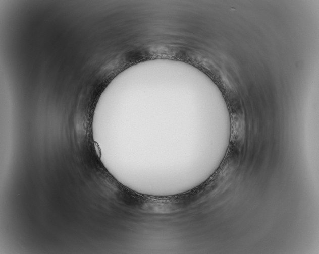 X0000086890713200705141623