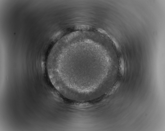 X0000086890716200705141622