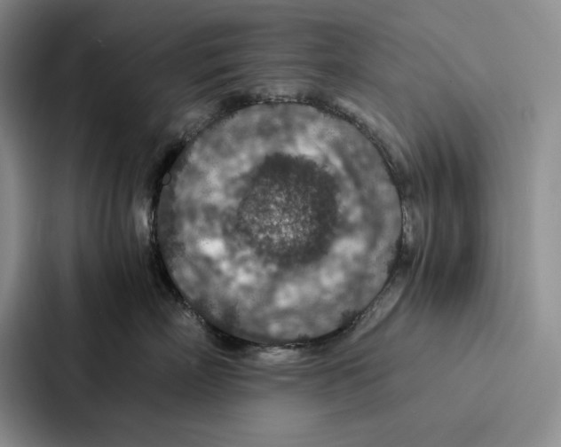 X0000086890718200705141622