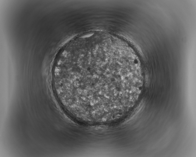 X0000086890721200705141622