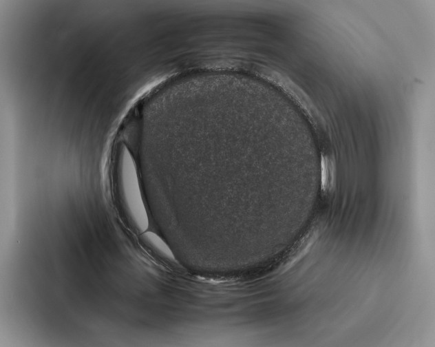 X0000086890723200705141622