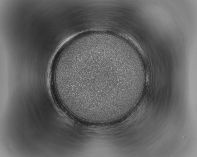 X0000086890724200705141622