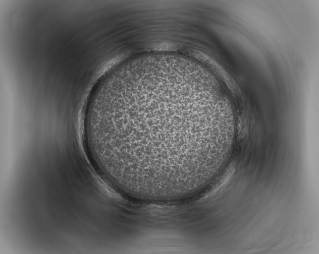 X0000086890725200705141622