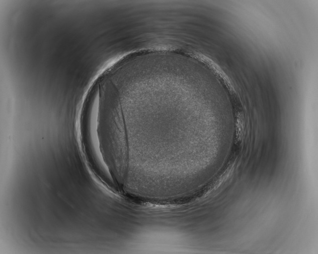 X0000086890726200705141622