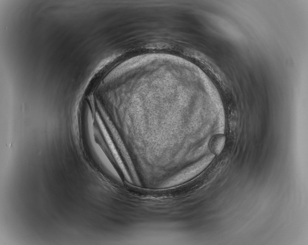 X0000086890727200705141622