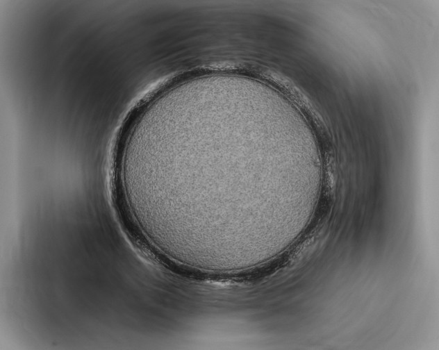 X0000086890728200705141622