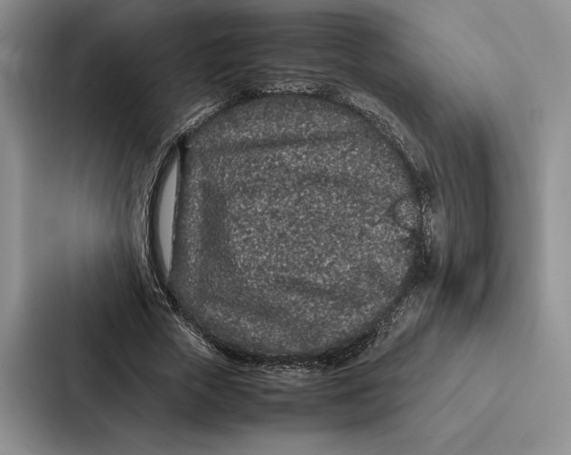 X0000086890729200705141622