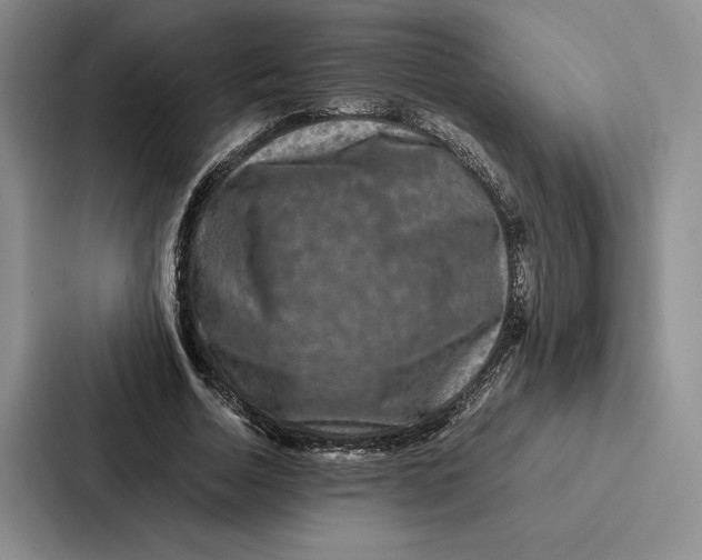 X0000086890730200705141622