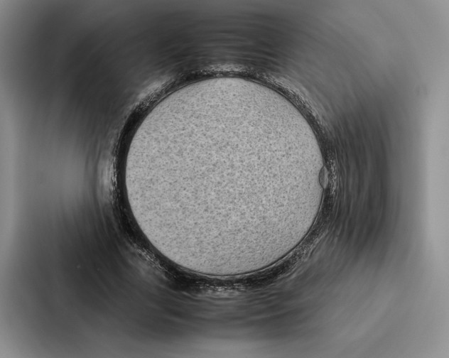 X0000086890731200705141622