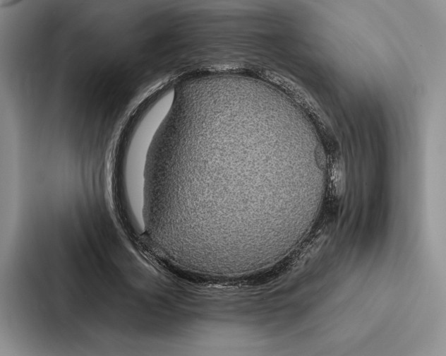 X0000086890732200705141622