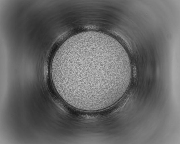 X0000086890733200705141622