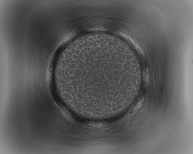 X0000086890735200705141622