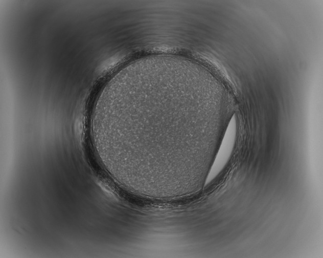 X0000086890736200705141622