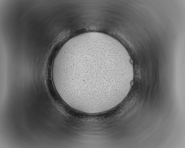 X0000086890738200705141622