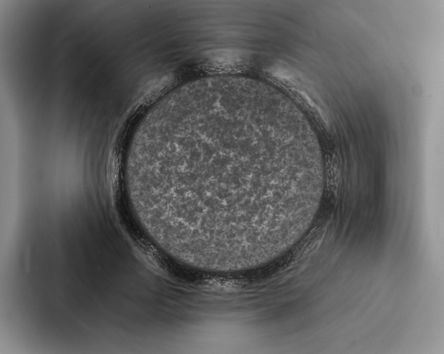 X0000086890742200705141622