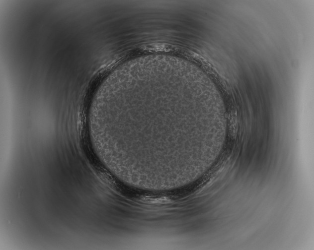 X0000086890747200705141622