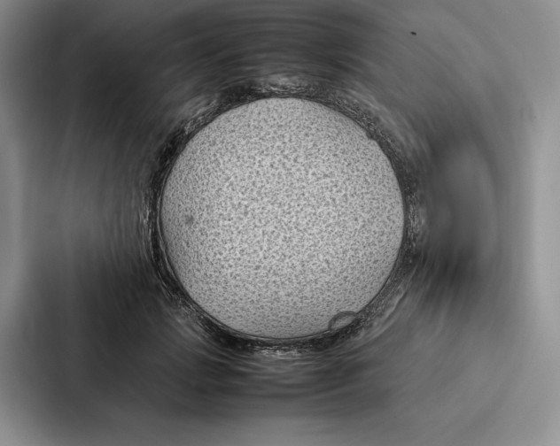 X0000086890749200705141622