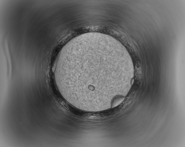 X0000086890750200705141622