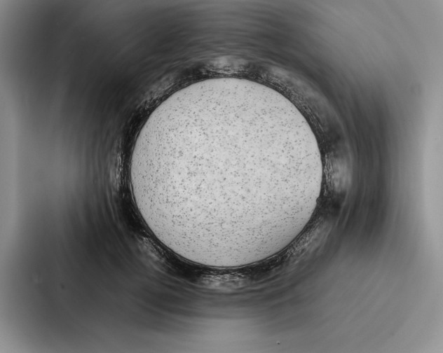 X0000086890752200705141622