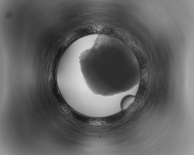 X0000086890754200705141622