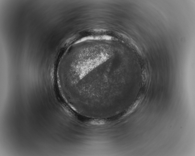 X0000086890762200705141622