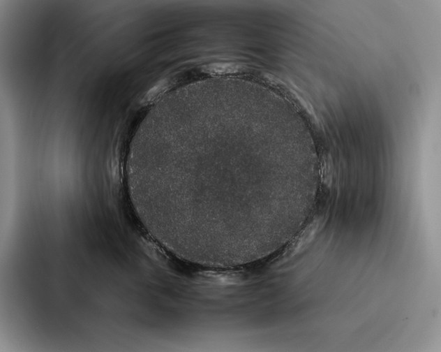 X0000086890763200705141622