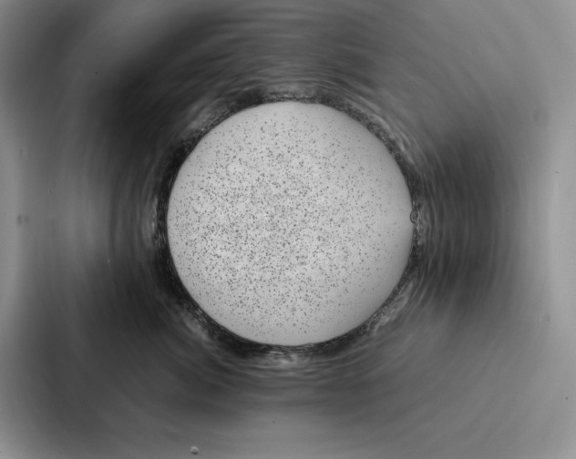 X0000086890764200705141622