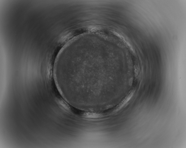 X0000086890766200705141622