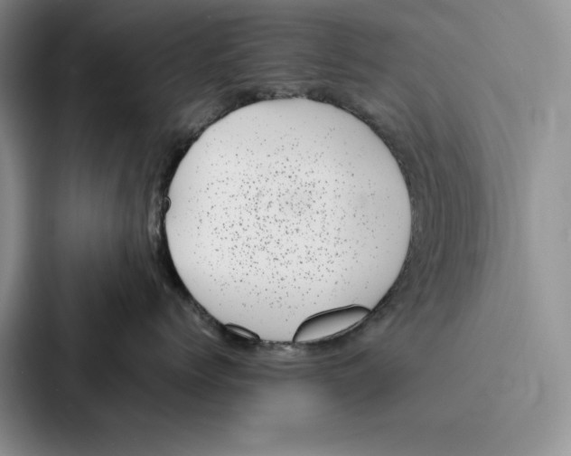 X0000086890768200705141622