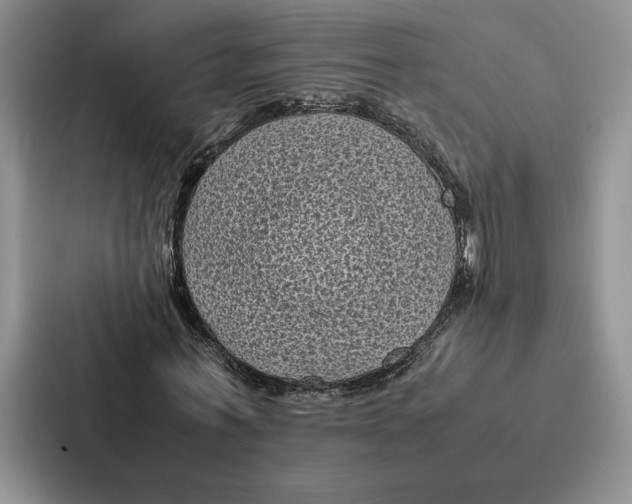 X0000086890771200705141622