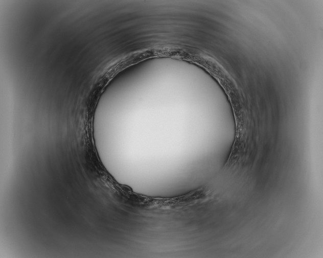 X0000086890773200705141622