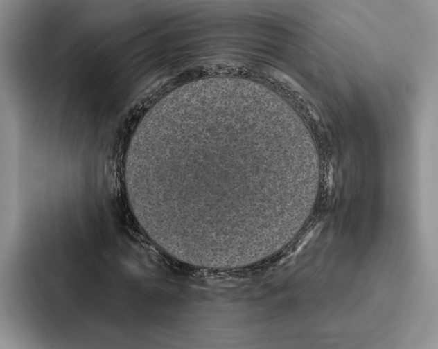 X0000086890774200705141622