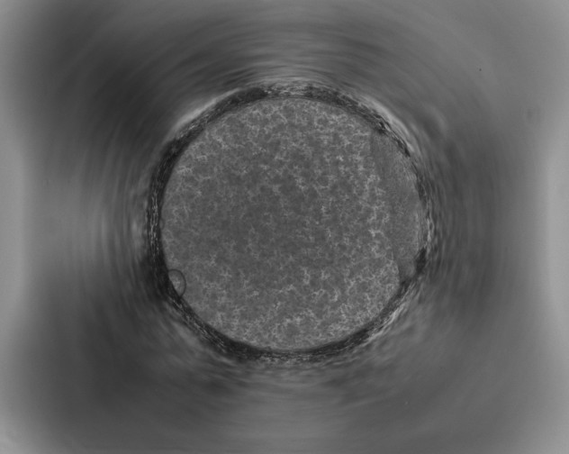 X0000086890775200705141622