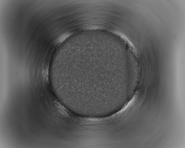 X0000086890777200705141622