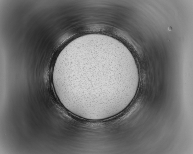 X0000086890778200705141622