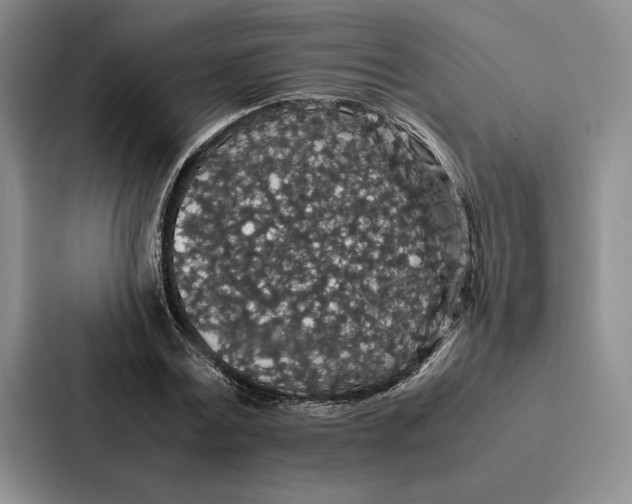 X0000086890779200705141622