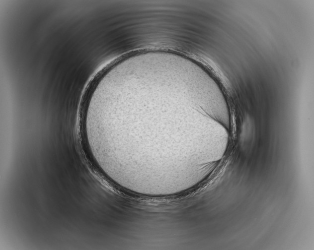 X0000086890780200705141622