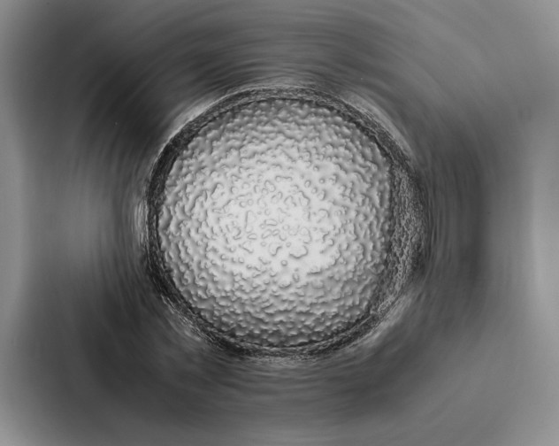 X0000086890781200705141622