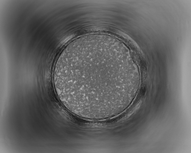 X0000086890785200705141622