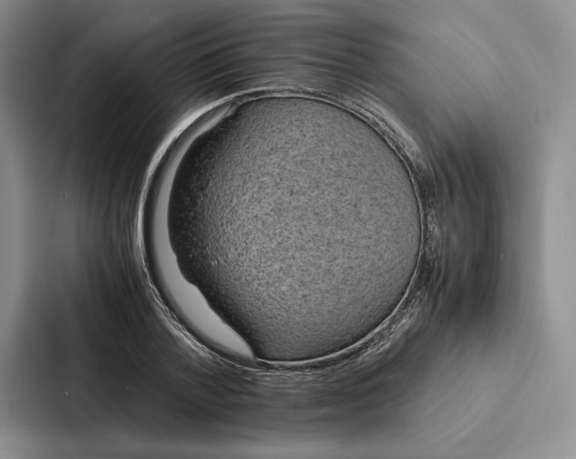 X0000086890788200705141622