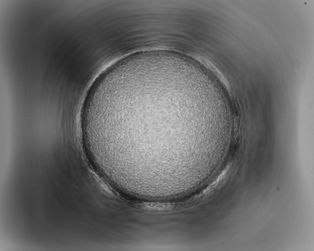 X0000086890789200705141622