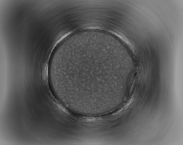 X0000086890790200705141622