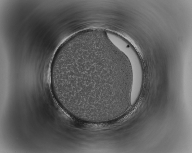 X0000086890791200705141621