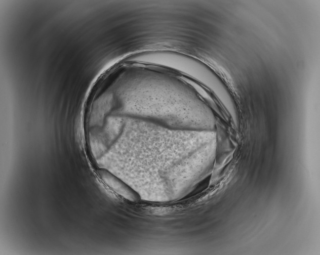 X0000086890792200705141621