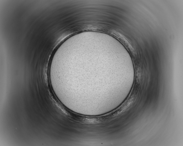 X0000086890794200705141621