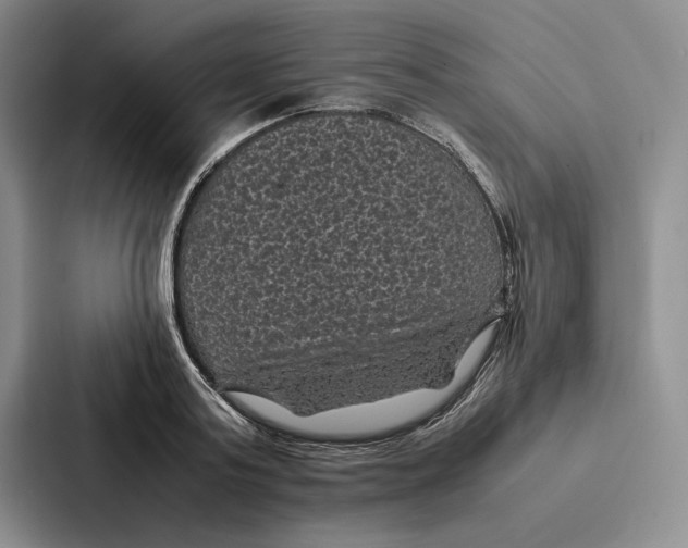 X0000086890795200705141621