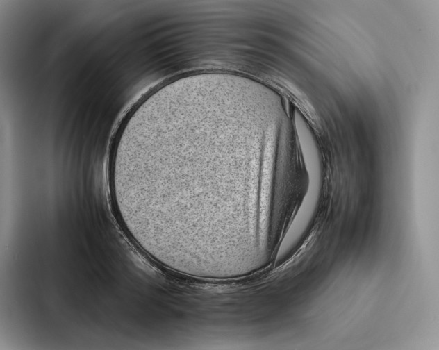 X0000086890796200705141621