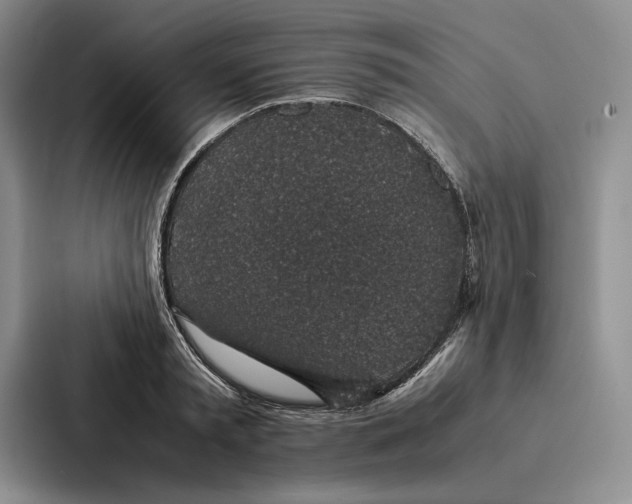 X0000086890797200705141621